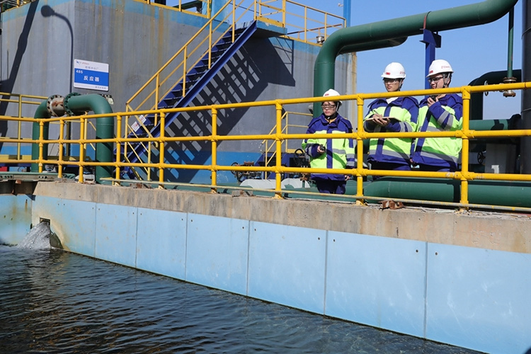 Harmony CHemical Activates Water Ecological Governance through Multidimensional Integration