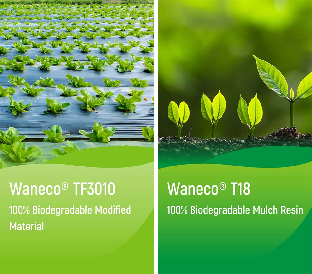 Waneco TF3010